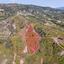 land off market trahipedoula paphos 8630146 thumbnail 17011462