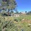 plot for sale agios ambrosios limassol 8863146 thumbnail 17159274