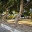 studio apartment building for sale neapolis limassol 1574246 thumbnail 5127822