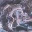 land for sale agios tychonas limassol 7751346 thumbnail 10291123