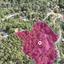 plot for sale pera pedi limassol 1242346 thumbnail 16530411