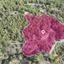 plot for sale pera pedi limassol 1242346 thumbnail 16530441