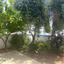 3 bedroom detached house for sale agia triada famagusta 1384446 thumbnail 13151351