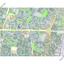 plot for sale sotiros agios ioannis larnaca larnaca 7873446 thumbnail 13425771