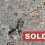 studio residential development sold aglantzia nicosia 8106446 thumbnail 13238680