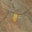 4014 SQM Land for sale in Kato Koutrafas, Nicosia thumbnail 12674811