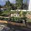 3 bedroom detached house for rent moni limassol 8244546 thumbnail 16268391