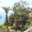 4 bedroom detached house for sale coral bay paphos 8959546 thumbnail 17782571