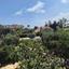 5 bedroom detached house for sale anafotida larnaca 1828546 thumbnail 6436333