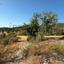 land for sale mathikoloni limassol 9009546 thumbnail 18399091