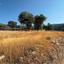 land for sale mathikoloni limassol 9009546 thumbnail 18399092