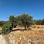 land for sale mathikoloni limassol 9009546 thumbnail 18399094