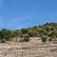 land for sale koili paphos 8630646 thumbnail 16278039