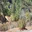 land for sale palaiomylos limassol 1638646 thumbnail 15598288