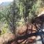 land for sale palaiomylos limassol 1638646 thumbnail 15598289