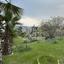 3 bedroom detached house for sale pyrgos limassol limassol 8325746 thumbnail 14860605