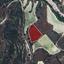 land for sale koilani limassol 962746 thumbnail 15600877