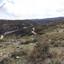 land for sale koilani limassol 962746 thumbnail 15600878