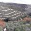 land for sale koilani limassol 962746 thumbnail 15600879