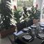 3 bedroom apartment for sale acropolis nicosia 8345846 thumbnail 14726748