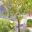 3 bedroom detached house for rent chlorakas paphos 8771846 thumbnail 16677620