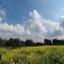 land for sale kornos larnaca 8710846 thumbnail 16272229