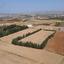 land for sale kouklia pafou paphos 1707846 thumbnail 15597101