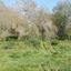 land for sale tremithousa paphos 1355846 thumbnail 15279247