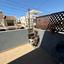 3 bedroom semi detached house for rent apostolos andreas limassol limassol 8716946 thumbnail 17582584