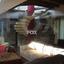 5 bedroom detached house for sale apesia limassol 1147946 thumbnail 5489662