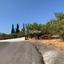 land for sale mesogi paphos 7812946 thumbnail 12701242