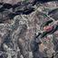 land for sale psathi paphos 832946 thumbnail 15599597