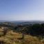 land for sale psathi paphos 832946 thumbnail 15599599