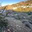 land for sale farmakas nicosia 1768056 thumbnail 15597683