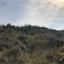 land for sale stroumbi paphos 8659056 thumbnail 17011279