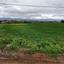 plot for sale strovolos nicosia 8249056 thumbnail 16185239