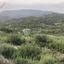 land for sale agios mamas limassol 7949156 thumbnail 14852855