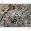 2600 SQM Land for sale in Malounta, Nicosia thumbnail 13796494