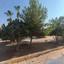 2 bedroom apartment for sale oroklini larnaca 8745256 thumbnail 16429860
