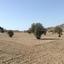 land for sale latsia nicosia 851256 thumbnail 2825349