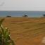 3 bedroom detached house for sale pervolia larnaca 7906356 thumbnail 16533507