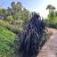 4 bedroom apartment for sale agios tychonas limassol 7827356 thumbnail 13704200