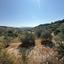 1649 SQM Land for sale in Tsada, Paphos thumbnail 6633958