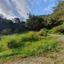 land for sale pomos paphos 8630356 thumbnail 15872718
