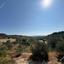 land for sale tsada paphos 1841356 thumbnail 6633957