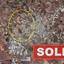 plot sold frenaros famagusta 722356 thumbnail 592732