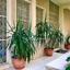 7 bedroom detached house for sale lykavitos nicosia 1153456 thumbnail 5171382