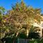 7 bedroom detached house for sale lykavitos nicosia 1153456 thumbnail 5171385