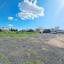 land for sale paphos municipality paphos 8290456 thumbnail 14043205