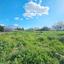 land for sale paphos municipality paphos 8290456 thumbnail 14043206